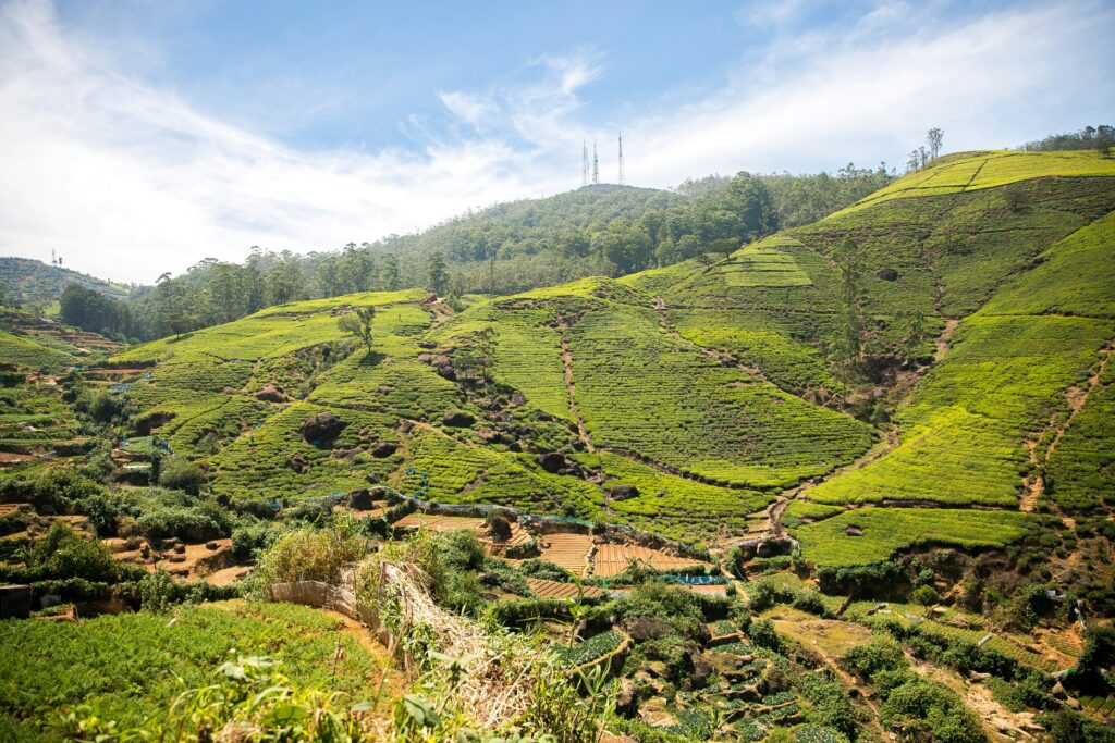 Nuwara eliya
